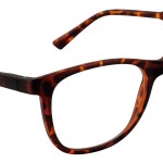 JMG5 | Classic Havana