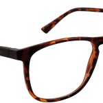 JMG8 | Classic Havana