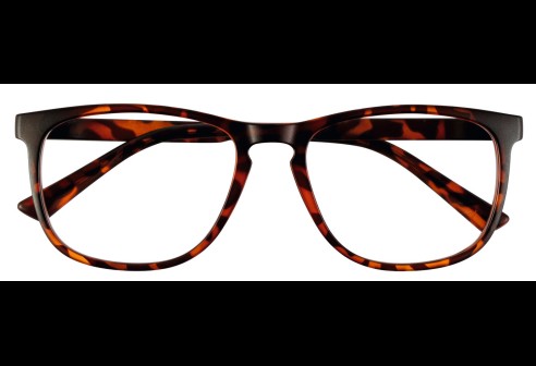 JMG8 | Classic Havana