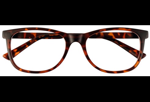 JMG5 | Classic Havana